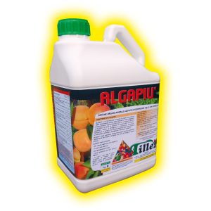 ALGAPIÙ