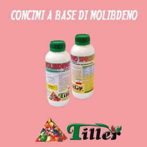 Concimi a base di molibdeno