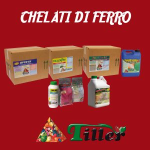 Chelati di ferro